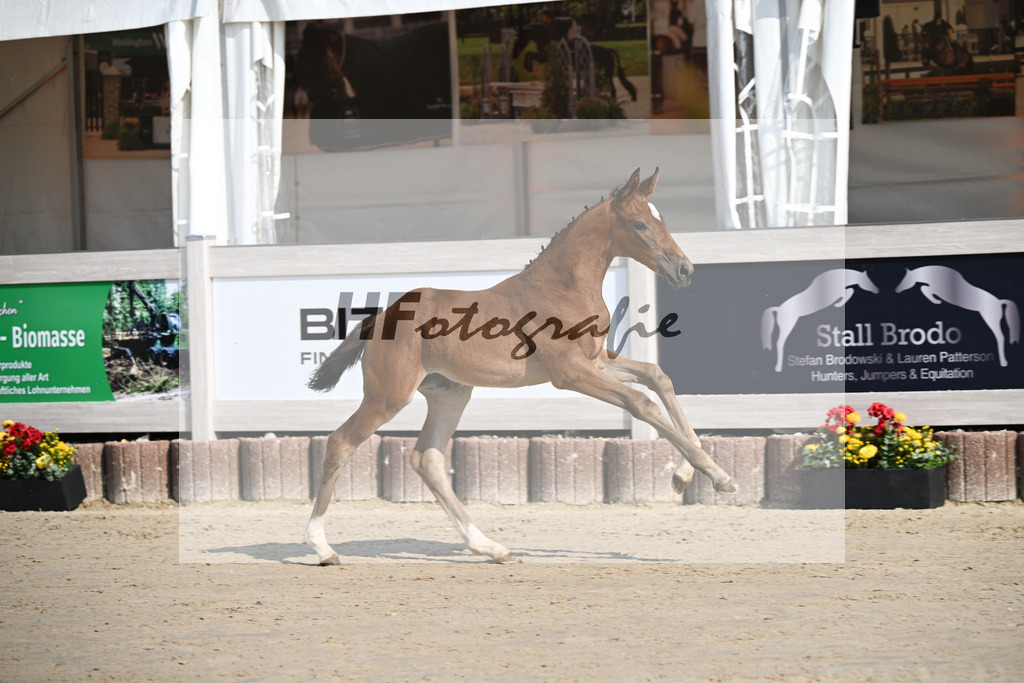 Fuerst Zonik x Vitalis_SF_Haering_12250020 | hf-fotografie - Realisiert mit Pictrs.com