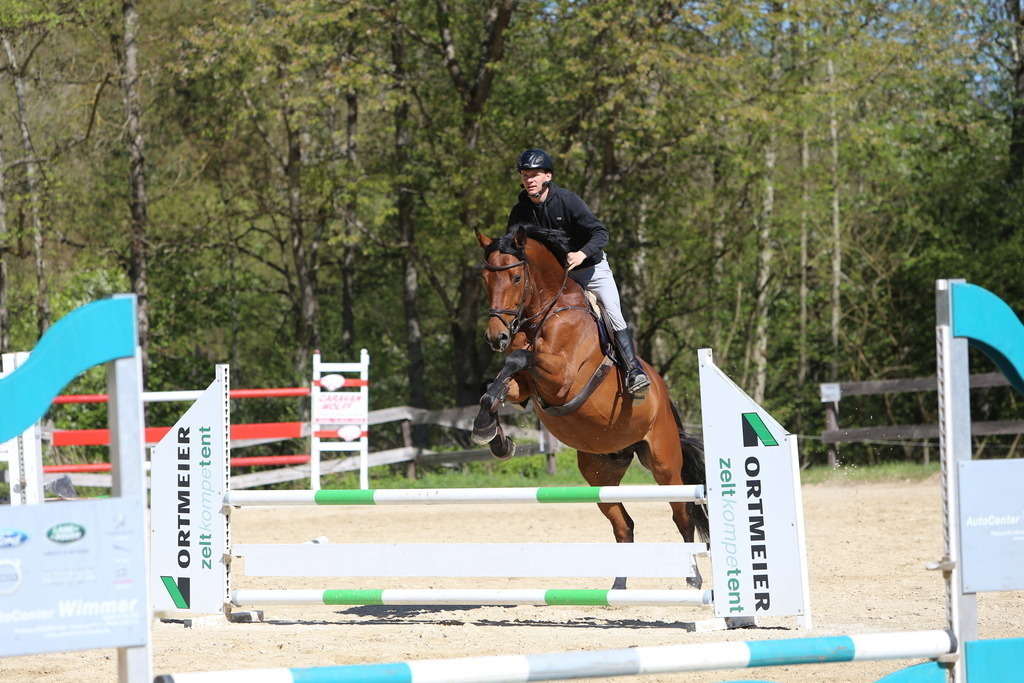 DL2Q3127 | Willkommen bei Brunnmayr - Design & Fotografie – Ihrem Spezialisten für Reitturniere und Pferdeveranstaltungen in Oberösterreich, Salzburg und Bayern! Seit über 17 Jahren sind wir leidenschaftlich dabei.