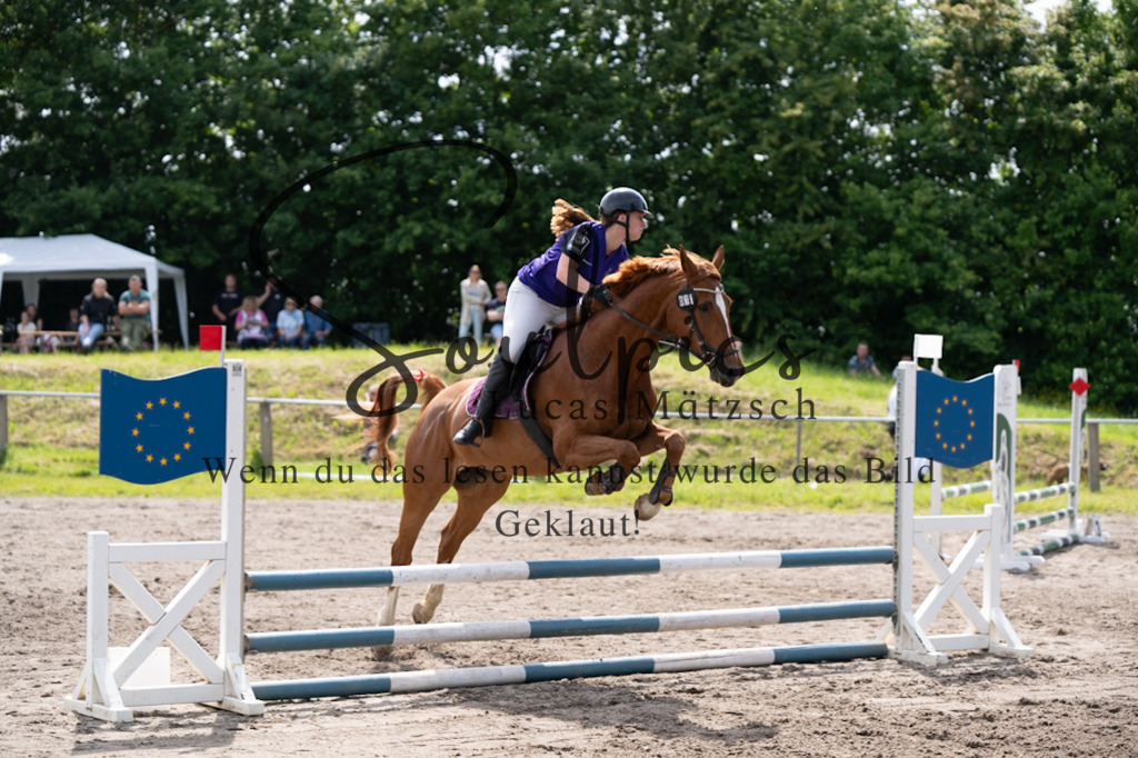 A7V04718 | Pferdefotograf