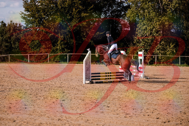 2026_10_03_Siefer-Hof_154110_Z81_57339799 | Professionelle Reitsport-, Turnier- und Eventfotografie von Robert Broda. Galerien mit ausgewählten und bearbeiteten Bildern direkt online ansehen und bestellen.