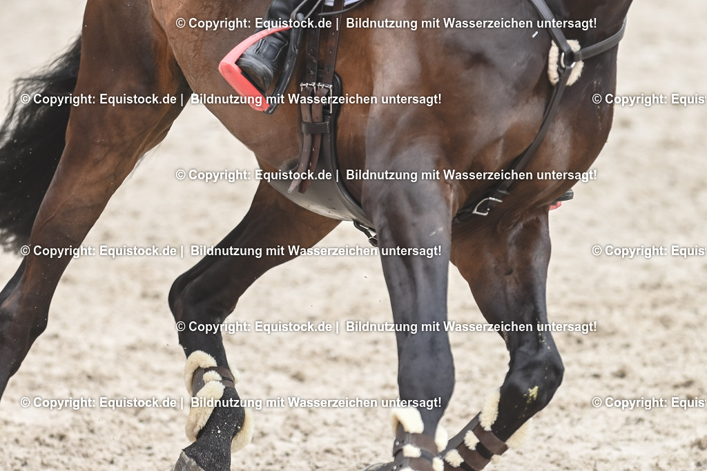 20230514_CCI4_Springen_0272 | equistock