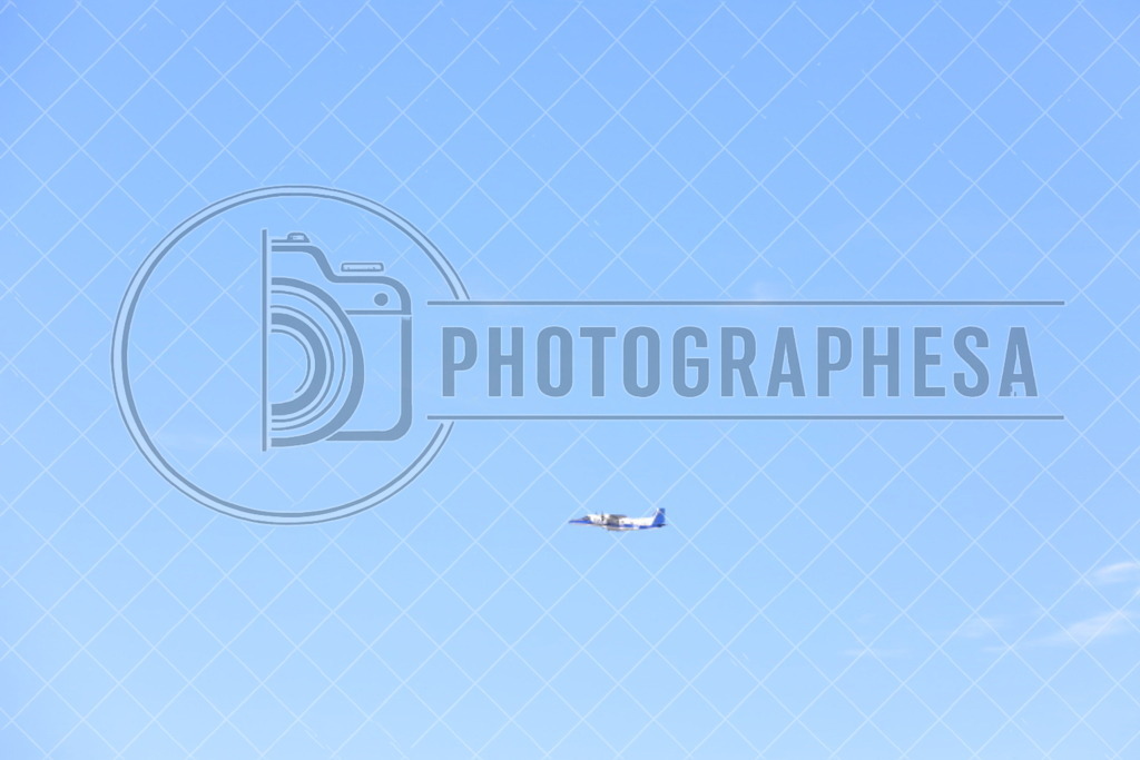 IMG_8848 | photographesa-joergens - Realisiert mit Pictrs.com