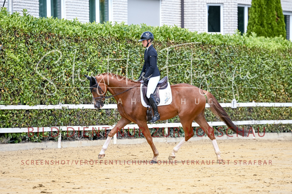 Schugtsche-Aluta25-49.Dressurpferdeprf.A-111 | Schugtsche Fotografie - Realisiert mit Pictrs.com