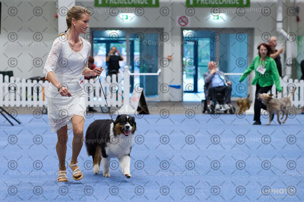 202406_ÖKV-IHA-Tulln24_DSC_3288 | proPHOTO - Realisiert mit Pictrs.com