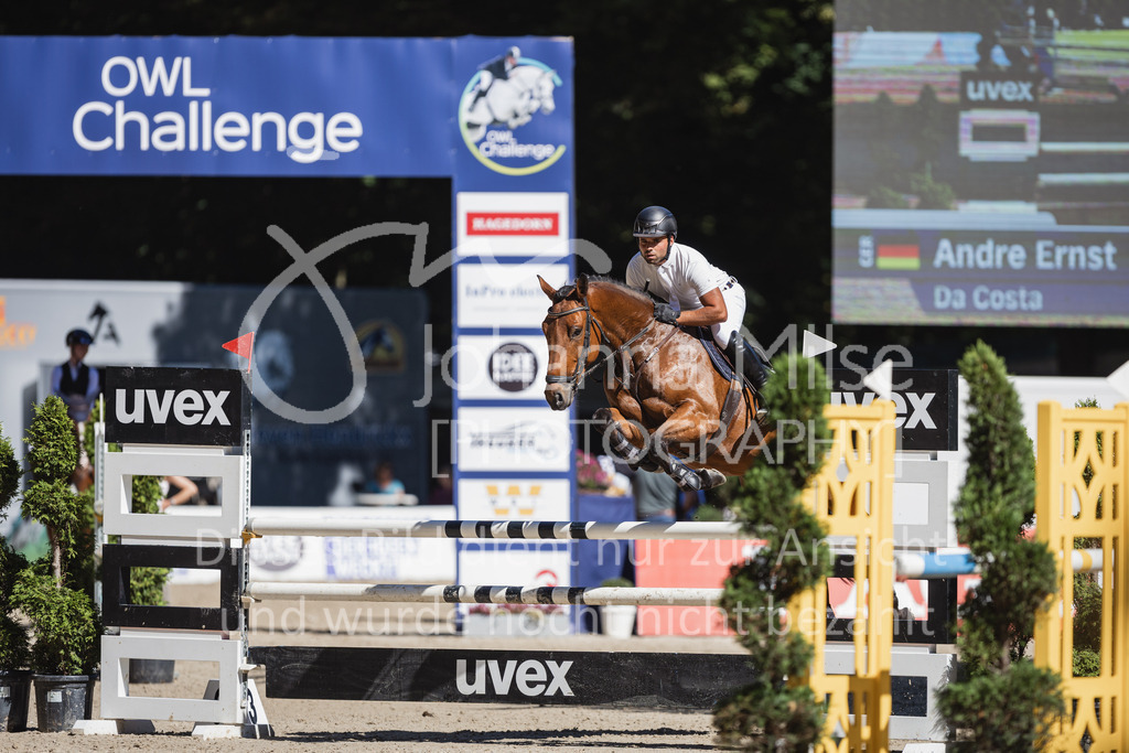 230907_OWLCh_SpringpferdeM-137 | Deine schönsten Turniermomente als professionelle Fotos! Entdecke hochwertige Pferdesport-Fotografie im Online-Shop. Jetzt Fotos finden & bestellen!