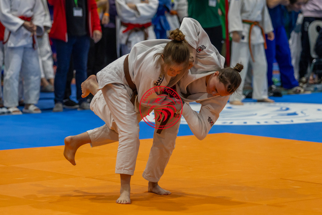 Internationaler Adler Cup 2024 | Foto vom Internationalen Adler Cup Judo Turnier im Sport- und Freizeitzentrum Kalbach im Oktober 2024 - Realisiert mit Pictrs.com