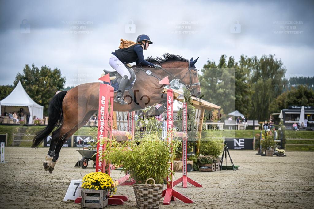 DOS_2611 | Entdecke hochwertige Reitturnierfotos von Foto Oger. Professionell, emotional und authentisch – jetzt Lieblingsmomente im Shop bestellen. - Realisiert mit Pictrs.com