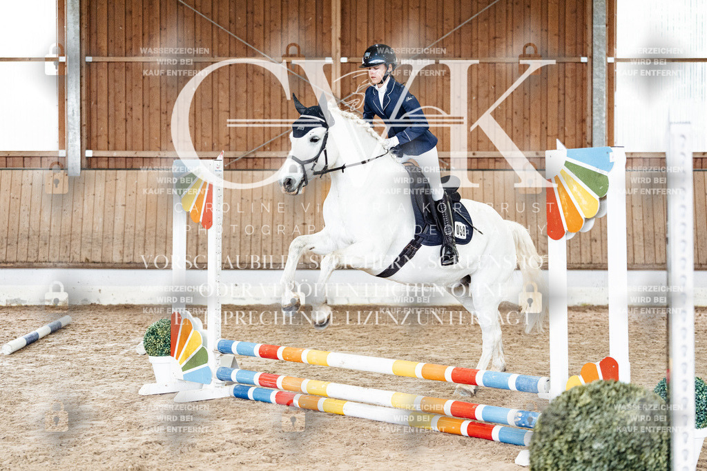 CK902923 | Turnierfotografie Pferdefotografie Trier Rheinland-Pfalz Pferdesport Reitsport Tierfotografie Sportfotografie Pferdevideo Pferdevideografie Equestrianvideography equestrianphotography  - Realized with Pictrs.com