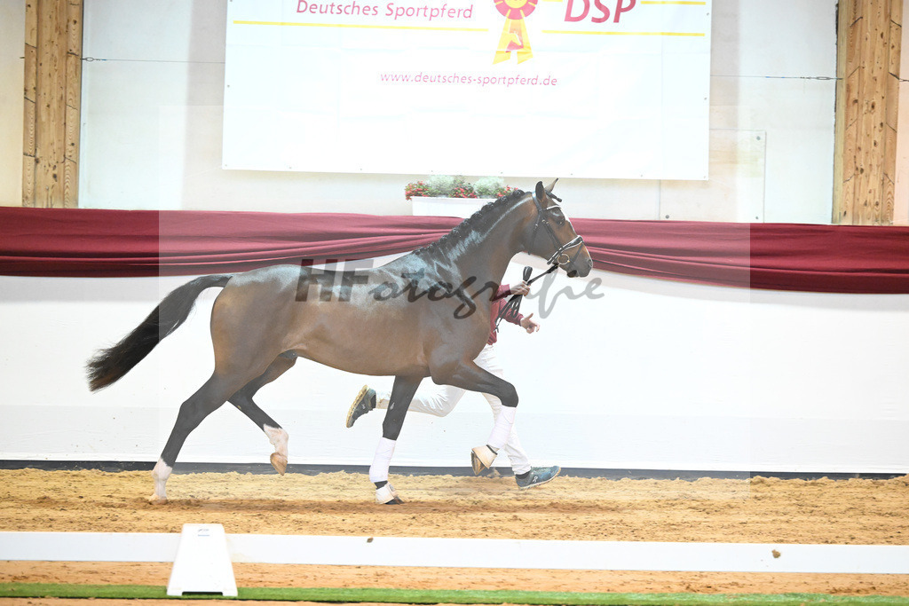 Kat-Nr. 59 v. Zalando_Kuntz_66222201 | hf-fotografie - Realisiert mit Pictrs.com