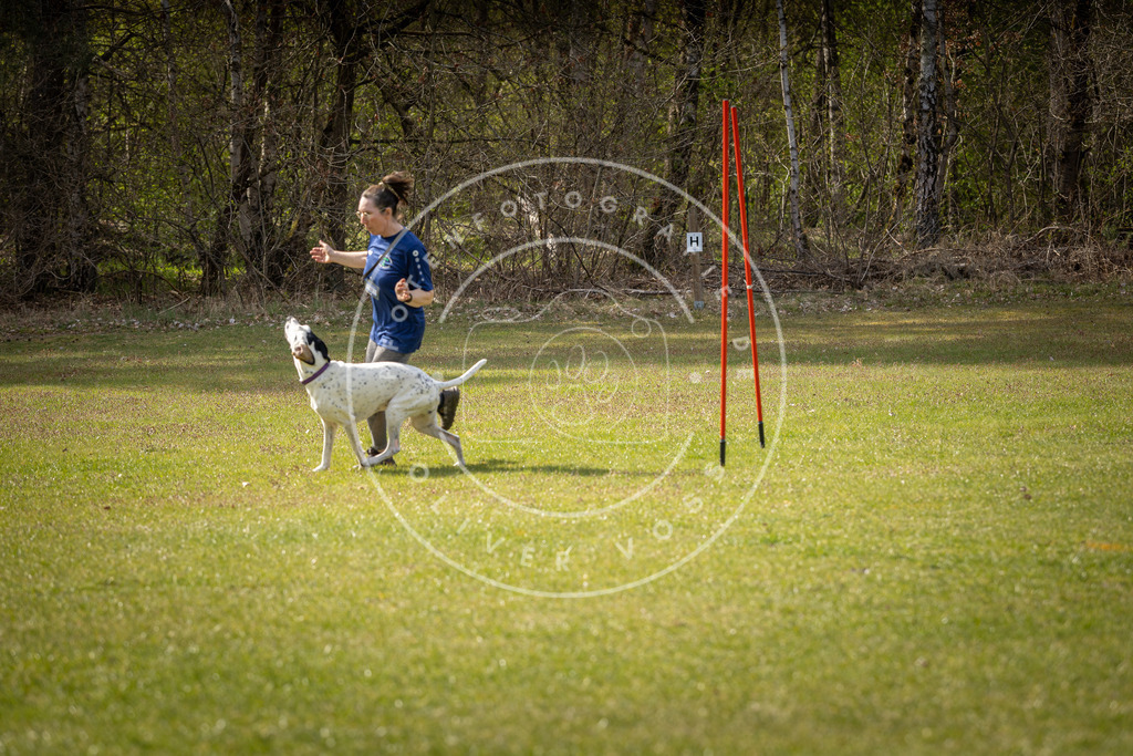 Pfotenfotografie_DV3A0058 | Hundefotografie, Tierfotograf, Pfotenfotografie, Fotoshooting Hund, Hunde Portrait, Hundesport, Hundeportraits, Heideshooting, Hunde, Sportfotograf, Hundefotograf, Turnierhundsport, THS,  - Realisiert mit Pictrs.com