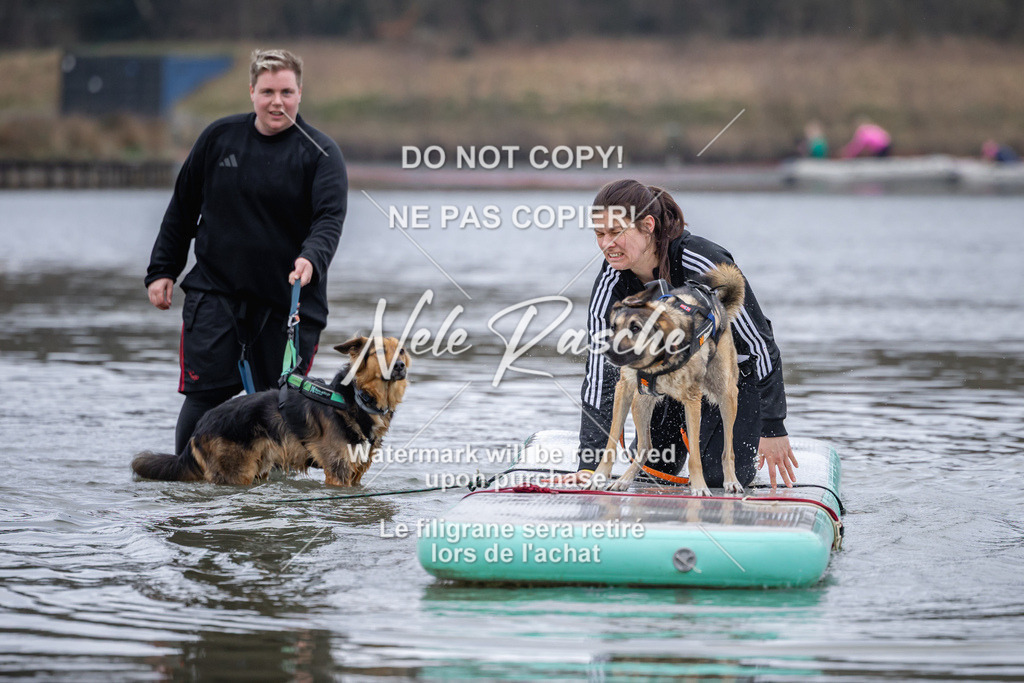 nelerasche_Hulsbeek_Sa1600-1700_369 | nelerasche