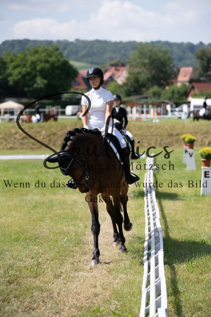 A7V09743 | Pferdefotograf