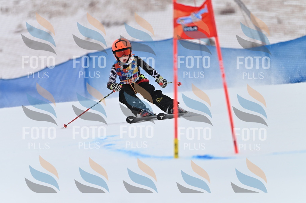 BGV_1768 | holidayphoto