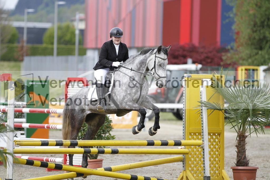 _MG_1383 | equestrian-live-com