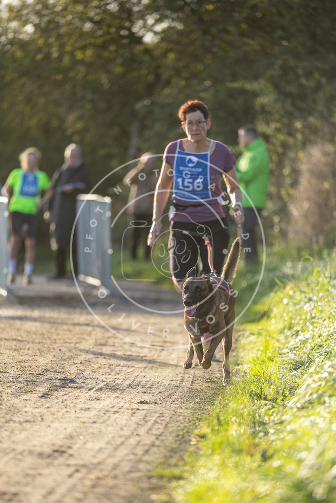Pfotenfotografie.de_DV3A2610 | Hundefotografie, Tierfotograf, Pfotenfotografie, Fotoshooting Hund, Hunde Portrait, Hundesport, Hundeportraits, Heideshooting, Hunde, Sportfotograf, Hundefotograf, Turnierhundsport, THS, canicross - Realisiert mit Pictrs.com