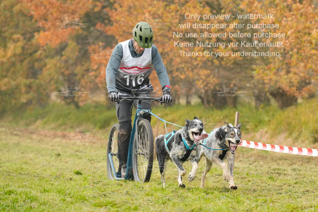 Visbeck_Sa_DS2DR2-104 | stephaniefillaphotographie - Realisiert mit Pictrs.com