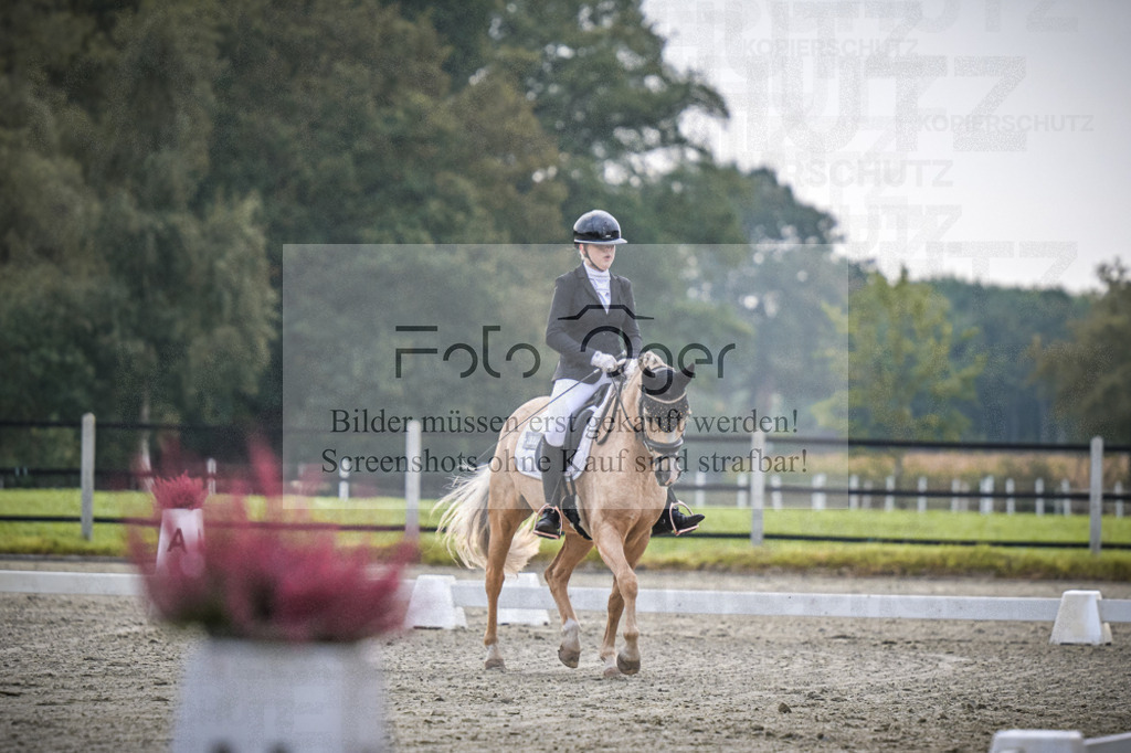 DOS_0810 | Entdecke hochwertige Reitturnierfotos von Foto Oger. Professionell, emotional und authentisch – jetzt Lieblingsmomente im Shop bestellen. - Realisiert mit Pictrs.com