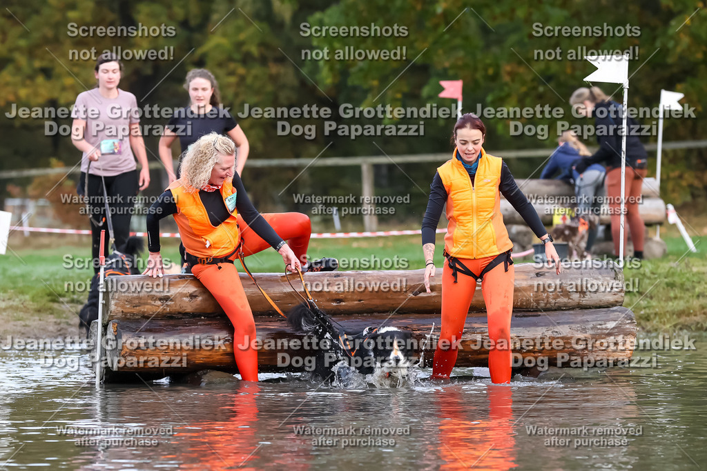 Dog Paparazzi - Strongdog 10-25-6465 | Dog Paparazzi Jeanette Grottendiek Fotografie & Videografie