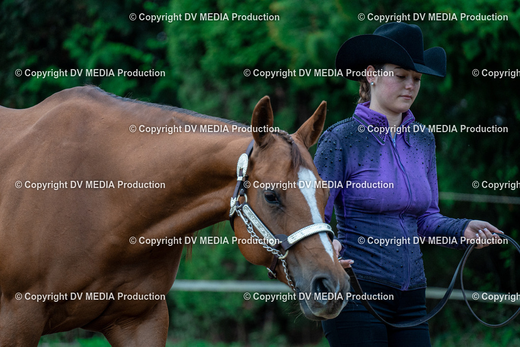 BA300044 | dv-media-shop - Realisiert mit Pictrs.com