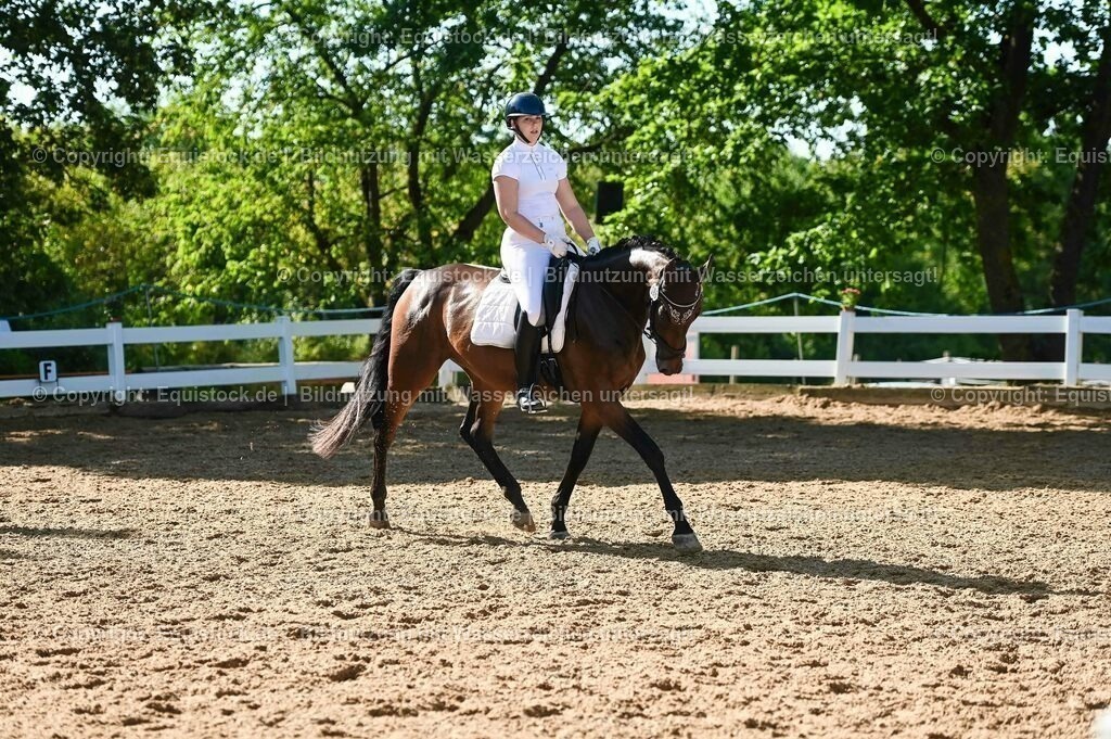 20230715_06_Dressurpferdeprfg. Kl.A_0272 | equistock