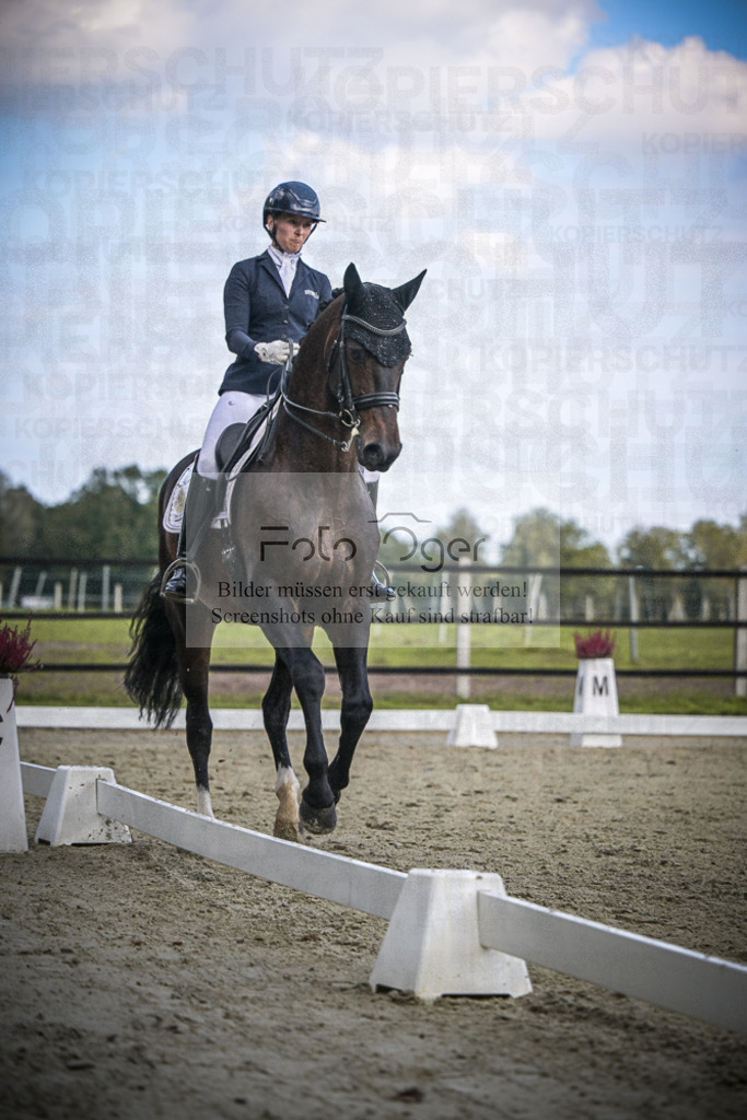 DOS_0149 | Entdecke hochwertige Reitturnierfotos von Foto Oger. Professionell, emotional und authentisch – jetzt Lieblingsmomente im Shop bestellen.Deutschlandweite Turnierfotografie. - Realisiert mit Pictrs.com