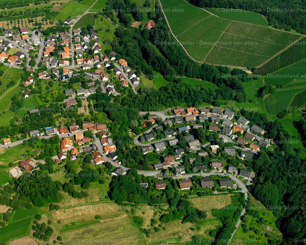 2526388 | Lauf
