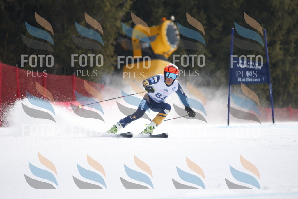 D6042 | holidayphoto