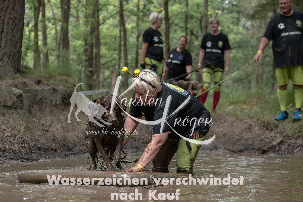 1336_ZZ94884 | kk-dogfotos