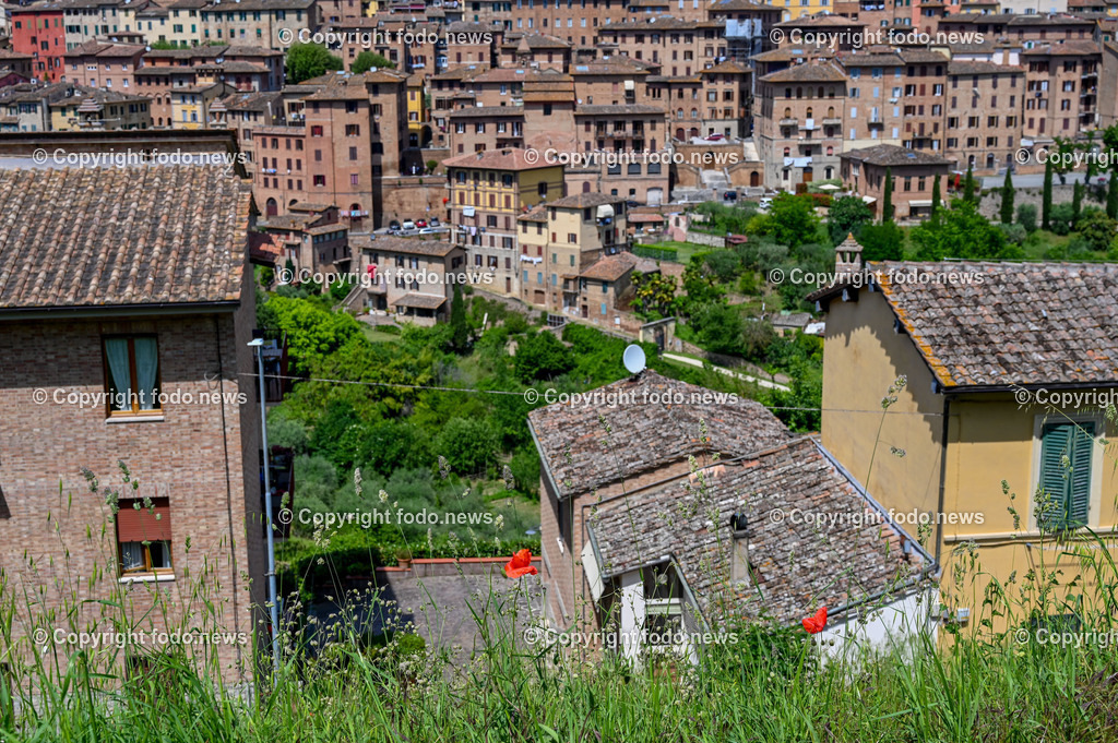 Italien_ Toscana_ Siena_ 27.05.2024-166 | 27.05.2024, Italien, ITA, Toskana, Siena im Bild Stadtansichten, Gebäude, Architektur, Touristen, Historisch, Souvenier, Piazza Del Campo, Dom von Siena


Siena ist Hauptstadt der Provinz Siena und gilt als eine der schönsten Städte der Toskana und Italiens. Die historische Altstadt gehört seit 1995 zum UNESCO-Welterbe. 

