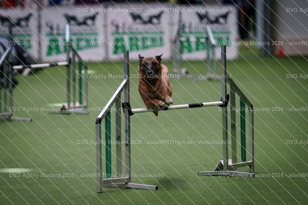 allesWIRTHgut_Tierfotografie-DVG_Agility_Masters_2026-09_35-7R502138 | Professionelle Tierfotografie in Mönchengladbach von Daniel Wirth (allesWIRTHgut). Liebevolle & natürliche Bilder von Hunden & Katzen für unvergessliche Erinnerungen.