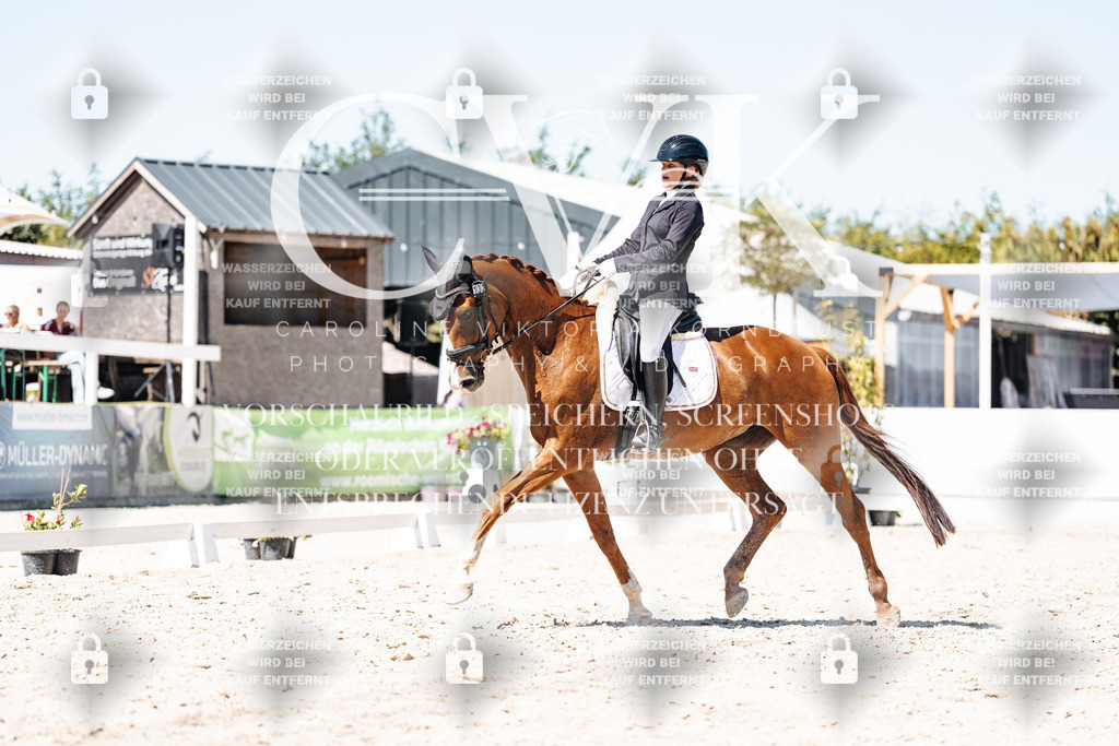 CK900365 | Turnierfotografie Pferdefotografie Trier Rheinland-Pfalz Pferdesport Reitsport Tierfotografie Sportfotografie Pferdevideo Pferdevideografie Equestrianvideography equestrianphotography  - Realisiert mit Pictrs.com
