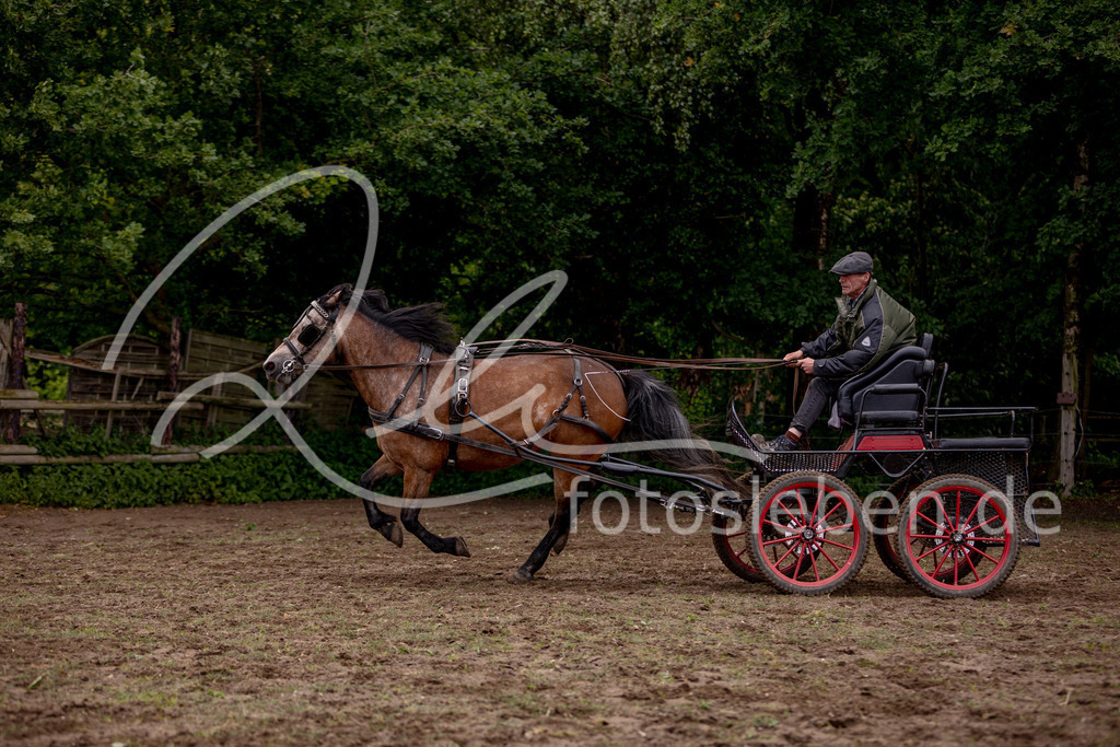 846A0700 | fotosleben - Realisiert mit Pictrs.com