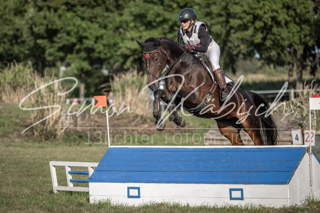 20250907-_3LI8658 | Tierfotografie Pferde, Hunde, Katzen, Haustiere.
Turnierfotografie Reitturniere, Reiten, Springreiten, Dressur in Hanau, dem Main-Kinzig-Kreis und dem Rhein-Main- Gebiet um Frankfurt
