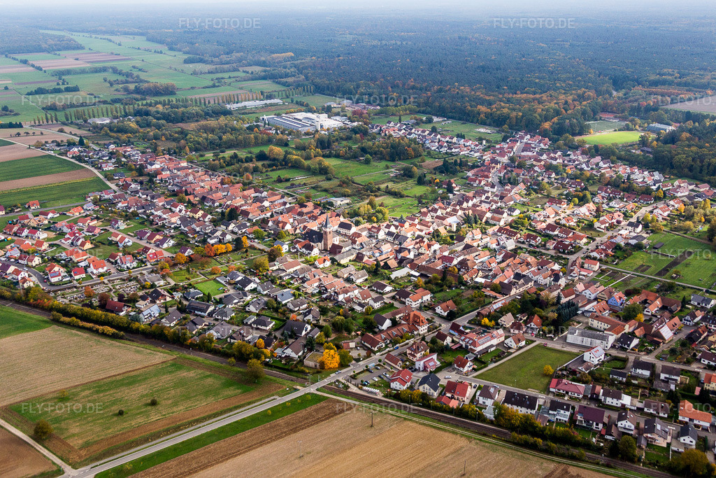 Luftbild: am Rhein im Ortsteil Schaidt in Wörth im Bundesland Rheinland-Pfalz in Deutschland. Foto: IMG_084575.jpg vom 23.10.2015 durch Werner Riehm/FLY-FOTO.de