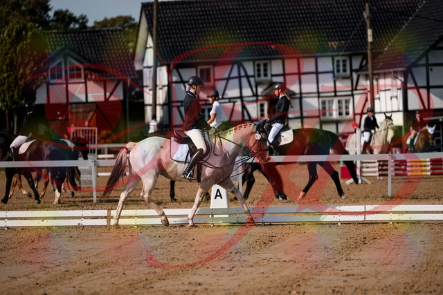 2026_10_03_Siefer-Hof_114744_Z63_26984954 | Professionelle Reitsport-, Turnier- und Eventfotografie von Robert Broda. Galerien mit ausgewählten und bearbeiteten Bildern direkt online ansehen und bestellen.