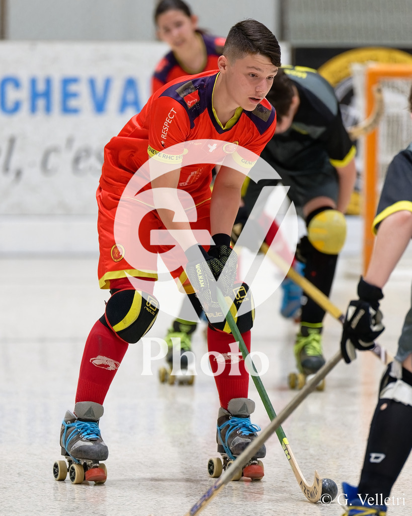 DSC_3152 | Velletri Photo