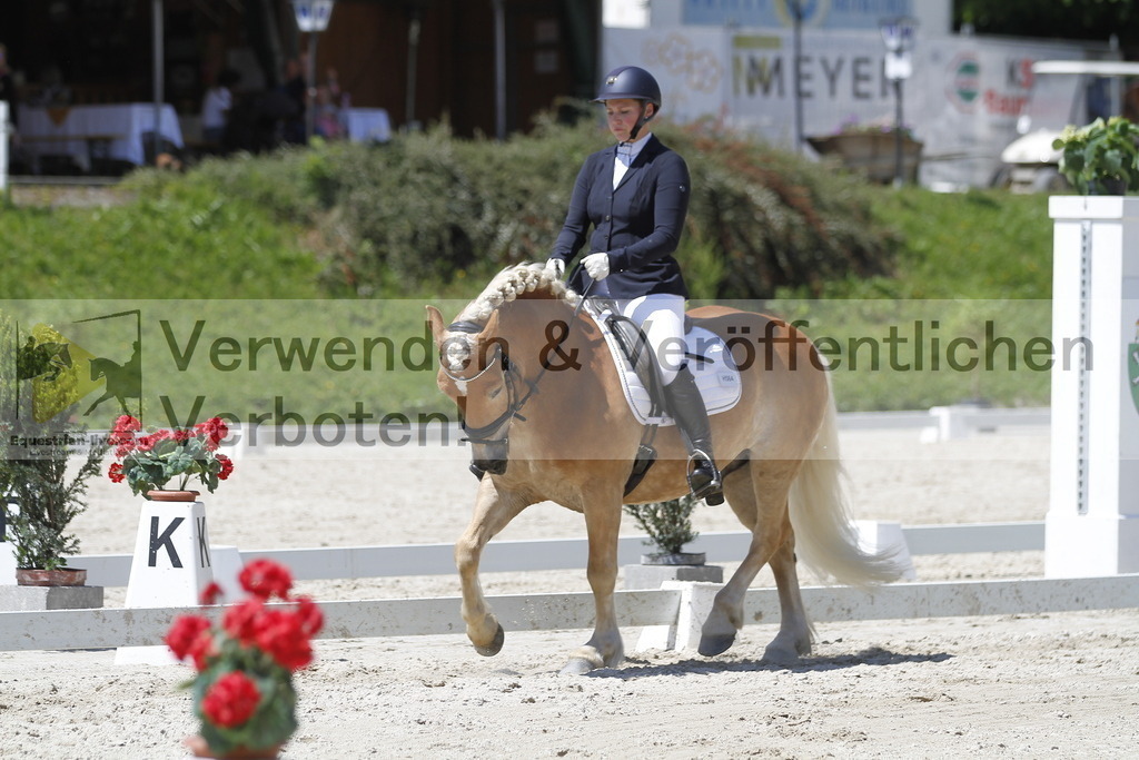 _MG_5228 | equestrian-live-com