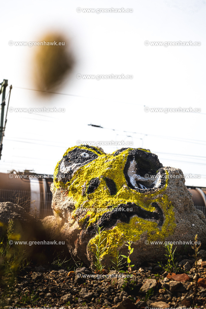_MG_9903 | Greenhawks Bilder Shop für Landschaften, Urban, Tiere und weiteres als Poster Leinwand oder Fotogeschenk für Ostern Weihnachten oder Geburtstag  - Realisiert mit Pictrs.com
