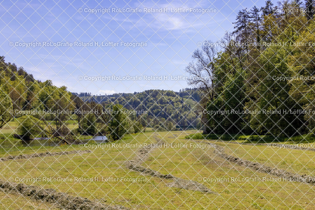 Im-Donautal-17 | IPTC Infos - Realisiert mit Pictrs.com