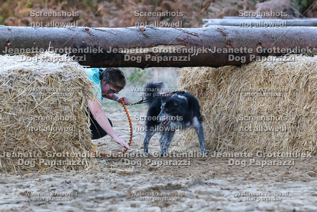 Dog Paparazzi - Strongdog 10-25-221 | Dog Paparazzi Jeanette Grottendiek Fotografie & Videografie - Realisiert mit Pictrs.com