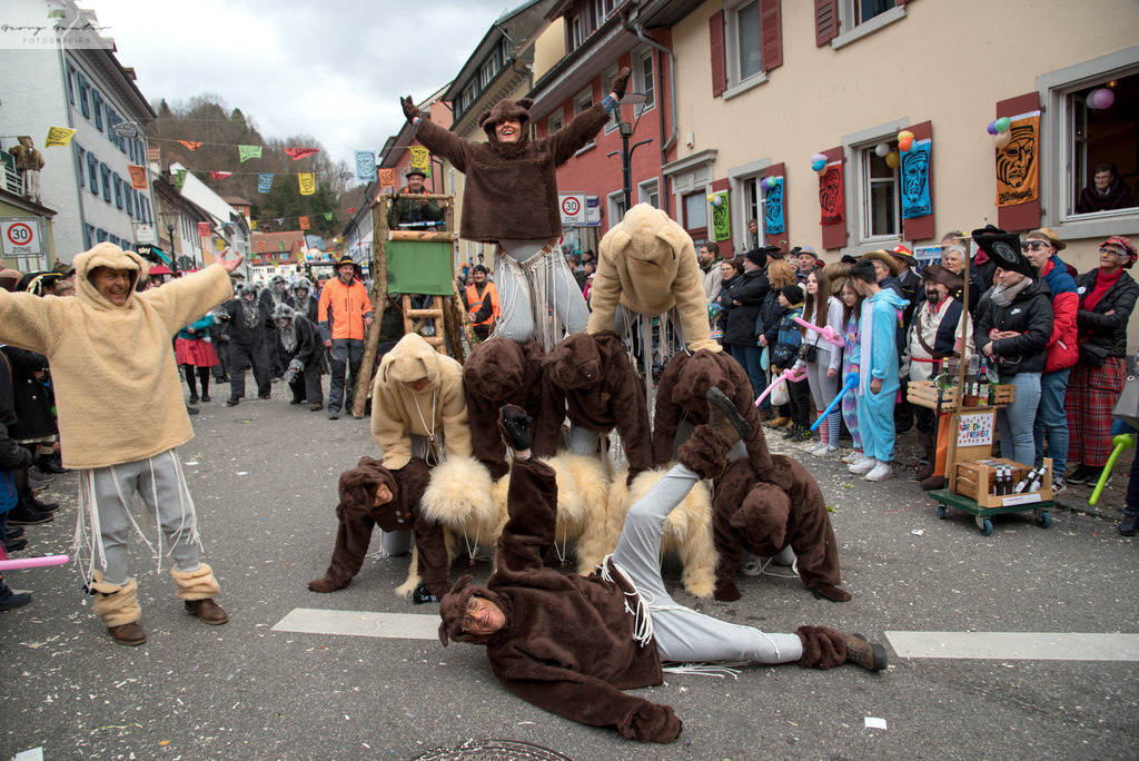 FastSonn_23-264 | Fotoblog Schwarzwald, Foto Blog Wiesental, Pfaffenberg, Winterzauber, Zeller Bergland, Zell im Wiesental, Fotoblog Wiesental, Landschaftsfotos, Bilder Wiesental, Natur, Naturbilder, Fastnacht, Zeller Fastnacht, Zeller Fasnacht, Zeller Bergland, Belchen, - Realisiert mit Pictrs.com