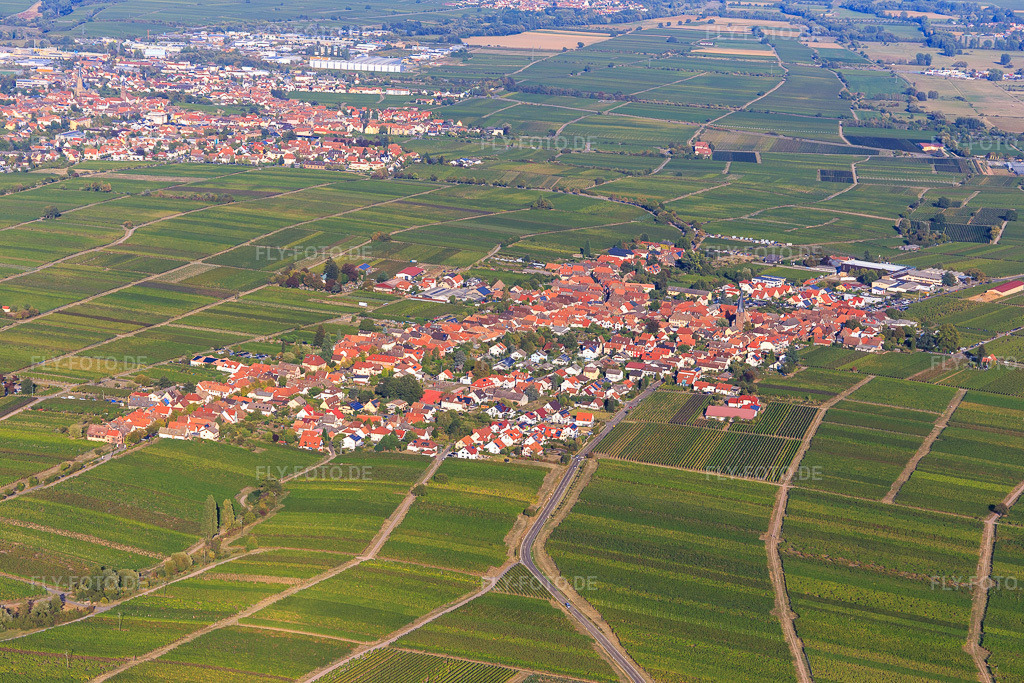 Luftbild: Winzerdorfansicht zwischen Weinbergen aus Südwesten in Rhodt unter Rietburg im Bundesland Rheinland-Pfalz in Deutschland. Foto: IMG_111775.jpg vom 16.09.2018 durch Werner Riehm/FLY-FOTO.de