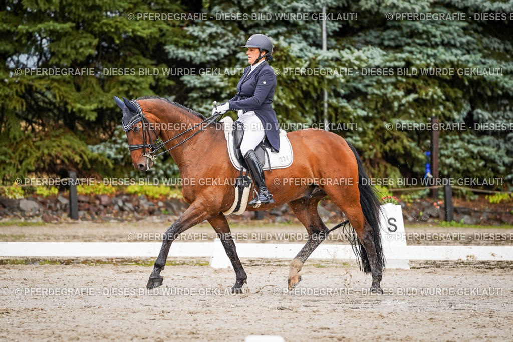 DSC09646 | Pferdegrafie