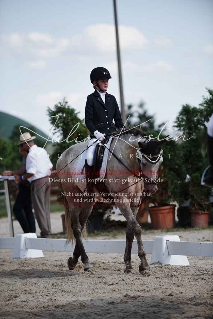 DSC_0015 | Pferde- und Turnierfotografie in Westsachsen. Pferdeportraits, Auftragszeichnungen und intuitive Kunst.