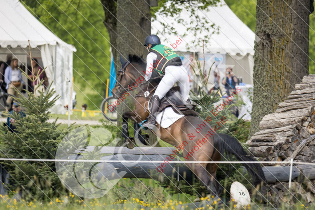 IMG_8811 | Hier findest Du viele Augenblicke aus den Bereichen der Turnier-, Sport- & Tierfotografie. Bilder mit deinem Liebling, Portrait-, Bewerbungs-, Businessbilder können ebenfalls schnell und einfach erstellt werden.