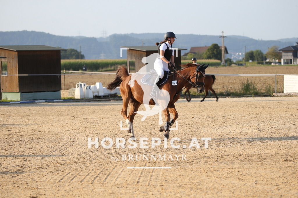 DL2Q2435 | Willkommen bei Brunnmayr - Design & Fotografie – Ihrem Spezialisten für Reitturniere und Pferdeveranstaltungen in Oberösterreich, Salzburg und Bayern! Seit über 17 Jahren sind wir leidenschaftlich dabei.