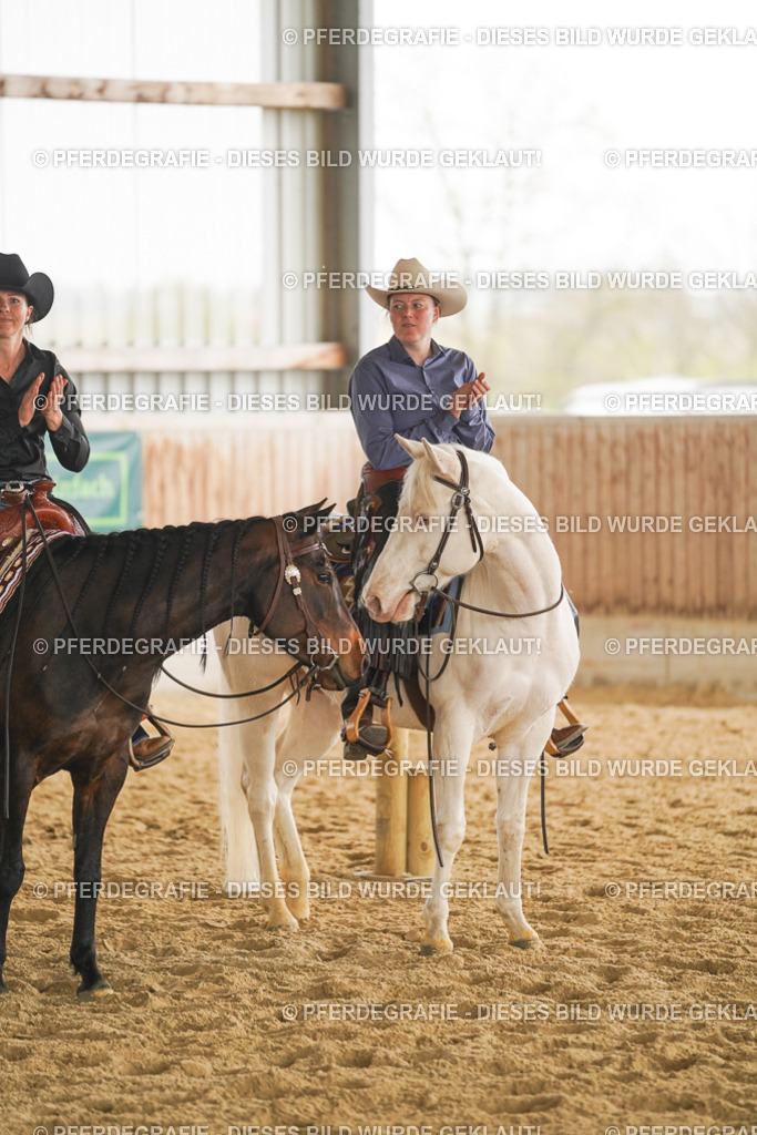 DSC05092 | Pferdegrafie