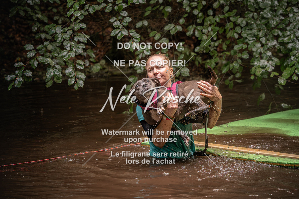 nelerasche_Wingst_Sa1330-1400_271 | nelerasche