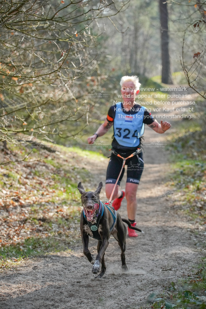 So_CC_short-87 | stephaniefillaphotographie - Realisiert mit Pictrs.com