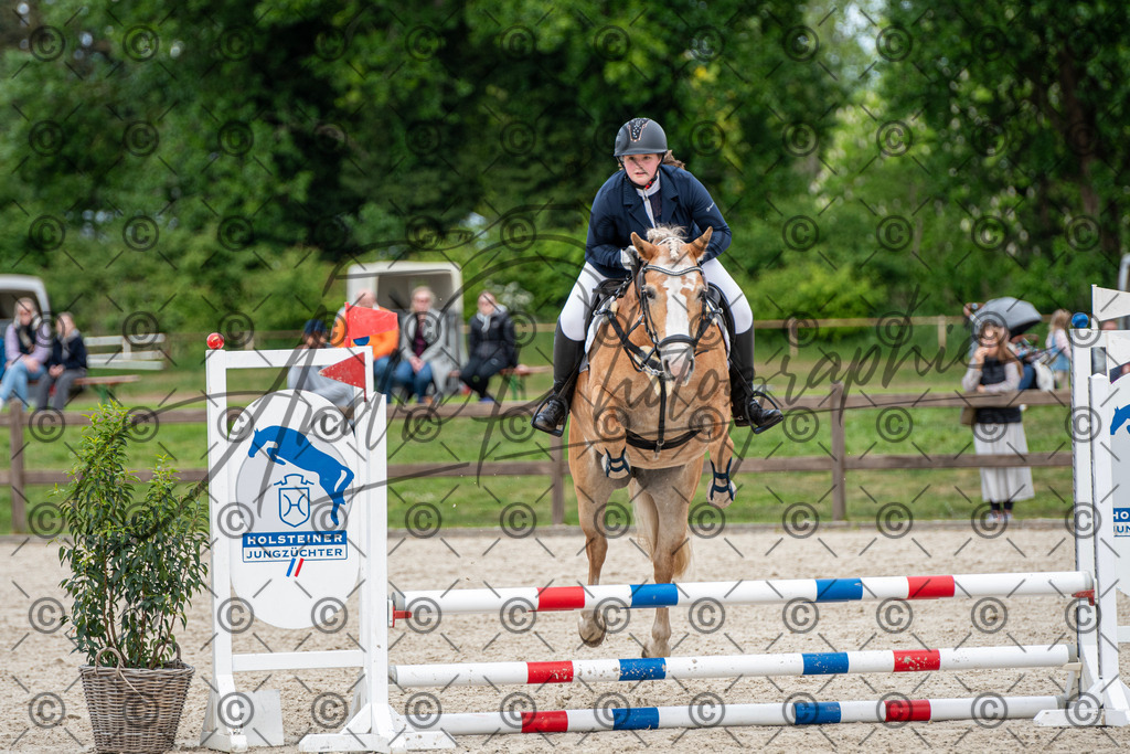 KPT_6337 | andre_photographic